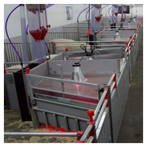 Best quality Insemination Stall -
BT-30 -Loose Farrowing Pen – Egebjerg detail pictures