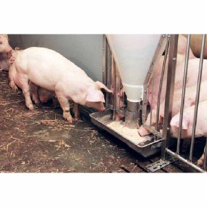 TUBE-O-MAT® Feeder