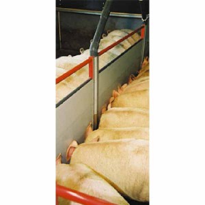 Liquid feeding pen wall