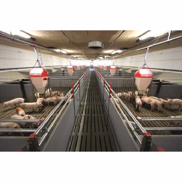 Best Price for Stainless Steel Pig Feeder -
Weaner, WTF,Finisher Pen – Egebjerg detail pictures