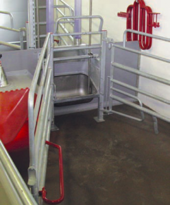 Combi Farrowing Pen