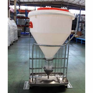 New Dry & Wet Feeder