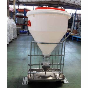 Nuovo Wet & Dry Feeder