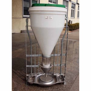 New Dry & Wet Feeder