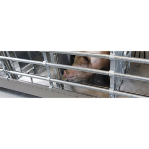 Trough for Sow, Weaner and Finisher