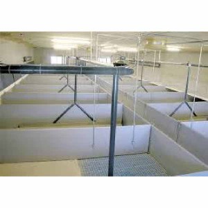 New Arrival China Farrowing Crate -
 Liquid feeding pen wall – Egebjerg