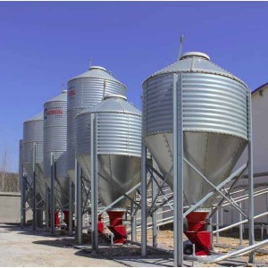 Gavalnized Feed Silos